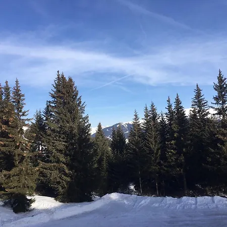 3p Avec Balcon, Pres De La Foret A - Fr-1-514-27 Apartment Courchevel