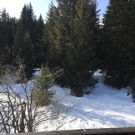 3p Avec Balcon, Pres De La Foret A - Fr-1-514-27 Courchevel